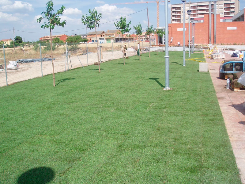 Instal·lacions esportives